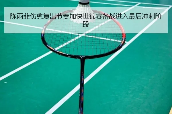陈雨菲伤愈复出节奏加快世锦赛备战进入最后冲刺阶段(BoyuSports)