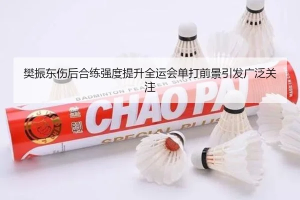 樊振东伤后合练强度提升全运会单打前景引发广泛关注（BoyuSports）